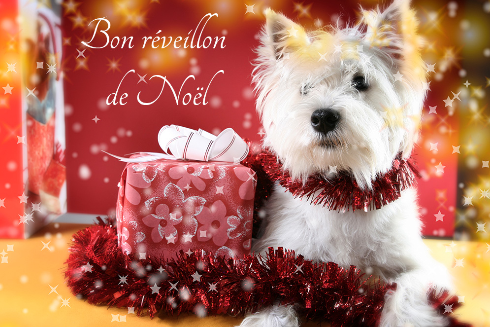 Joyeux Noel A Tous Blog D Aide De Blog4ever